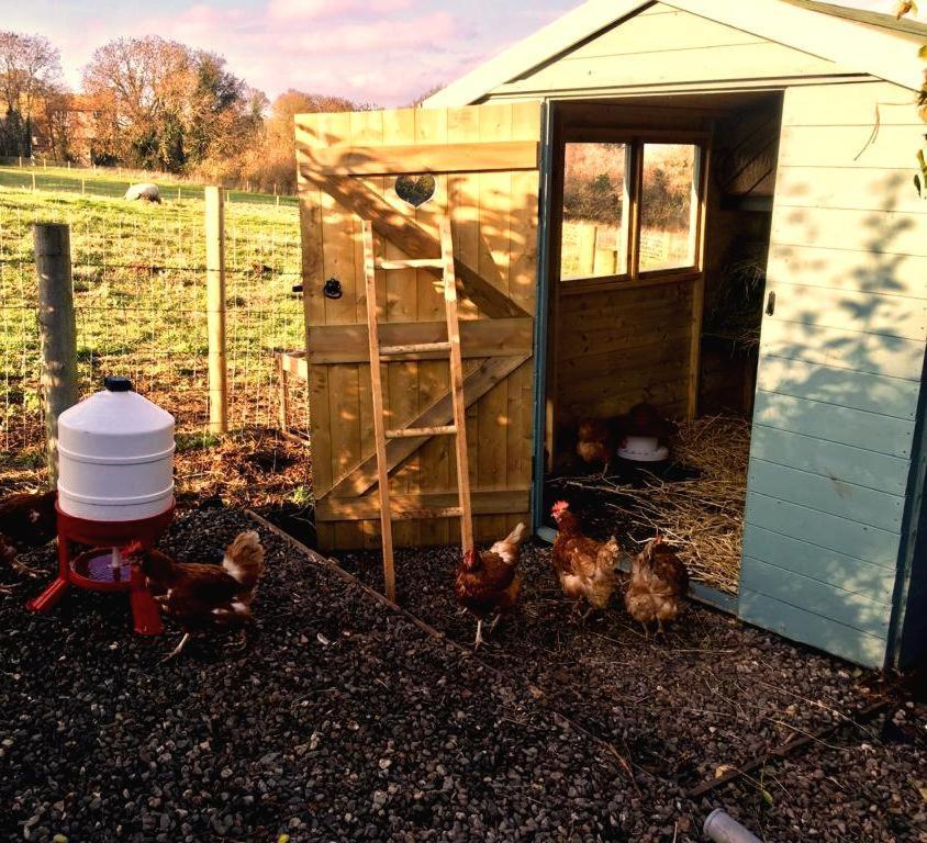 The Summerhouse, Countryside Retreat With Private Hot Tub Holiday home *